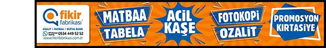 http://www.fikirfabrikasi.com.tr/